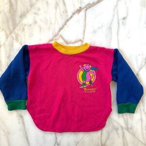 Vintage Barney 1993 Colorblock Sweatshirt - No Size Tag 90's 1990's